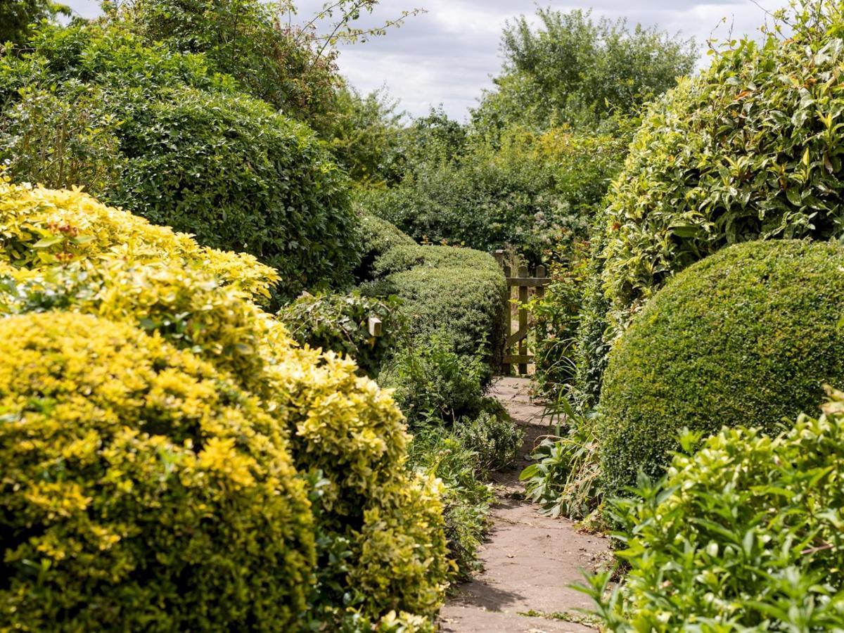 Pass The Keys Cosy Cottage With Views Over The Shropshire Hills Лъдлоу Екстериор снимка